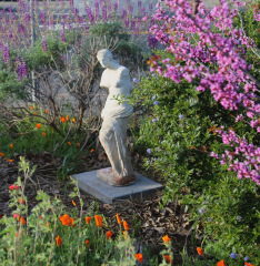 29745058_1658055187612929_5251942000099270629_o