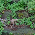 dsc04735