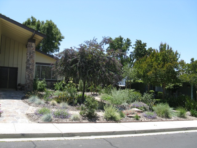 Kate and Andy Mackinnon’s garden