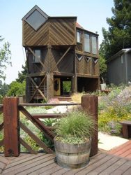 Matthew White and Sarah Holzman’s garden UPDATED
