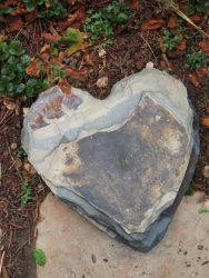 Tim and Michelle Inama’s Garden