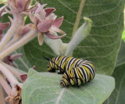 img_8336_0