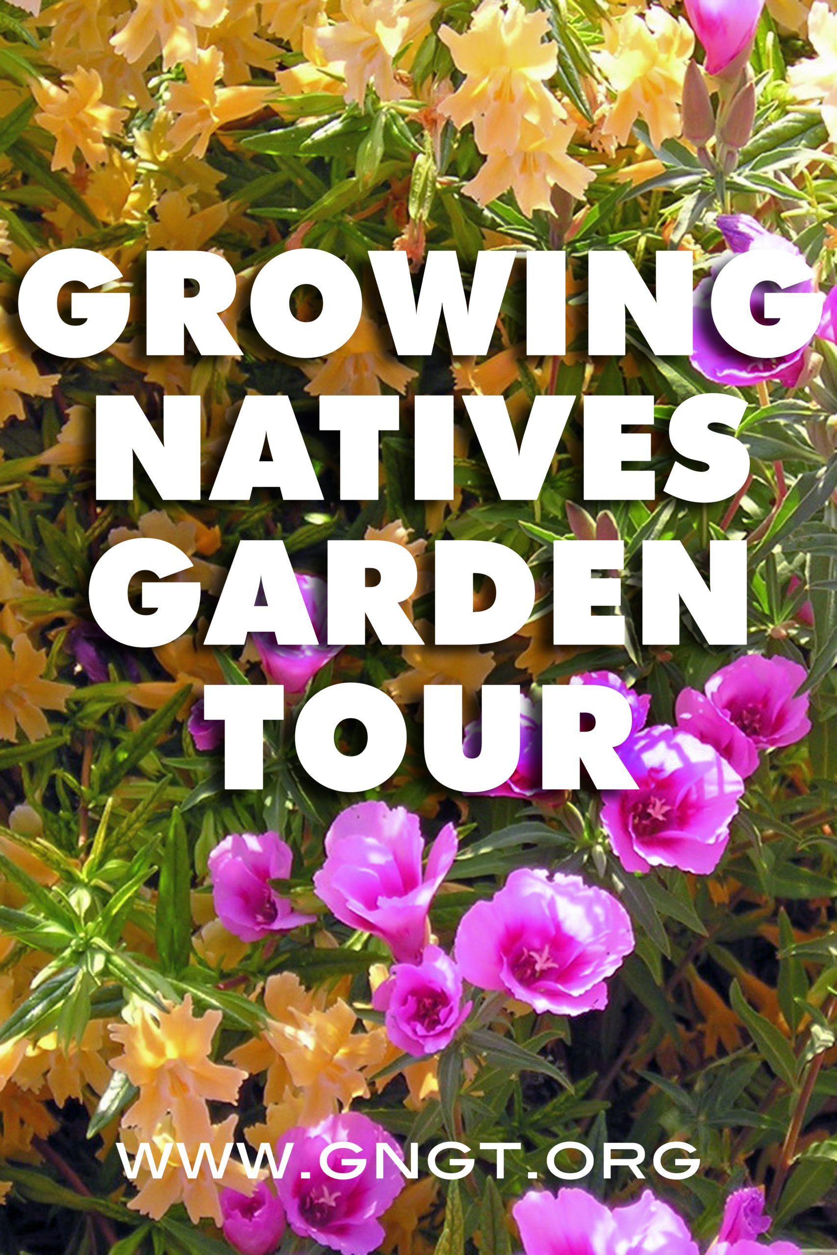 Other tours « Bringing Back the Natives Garden Tour