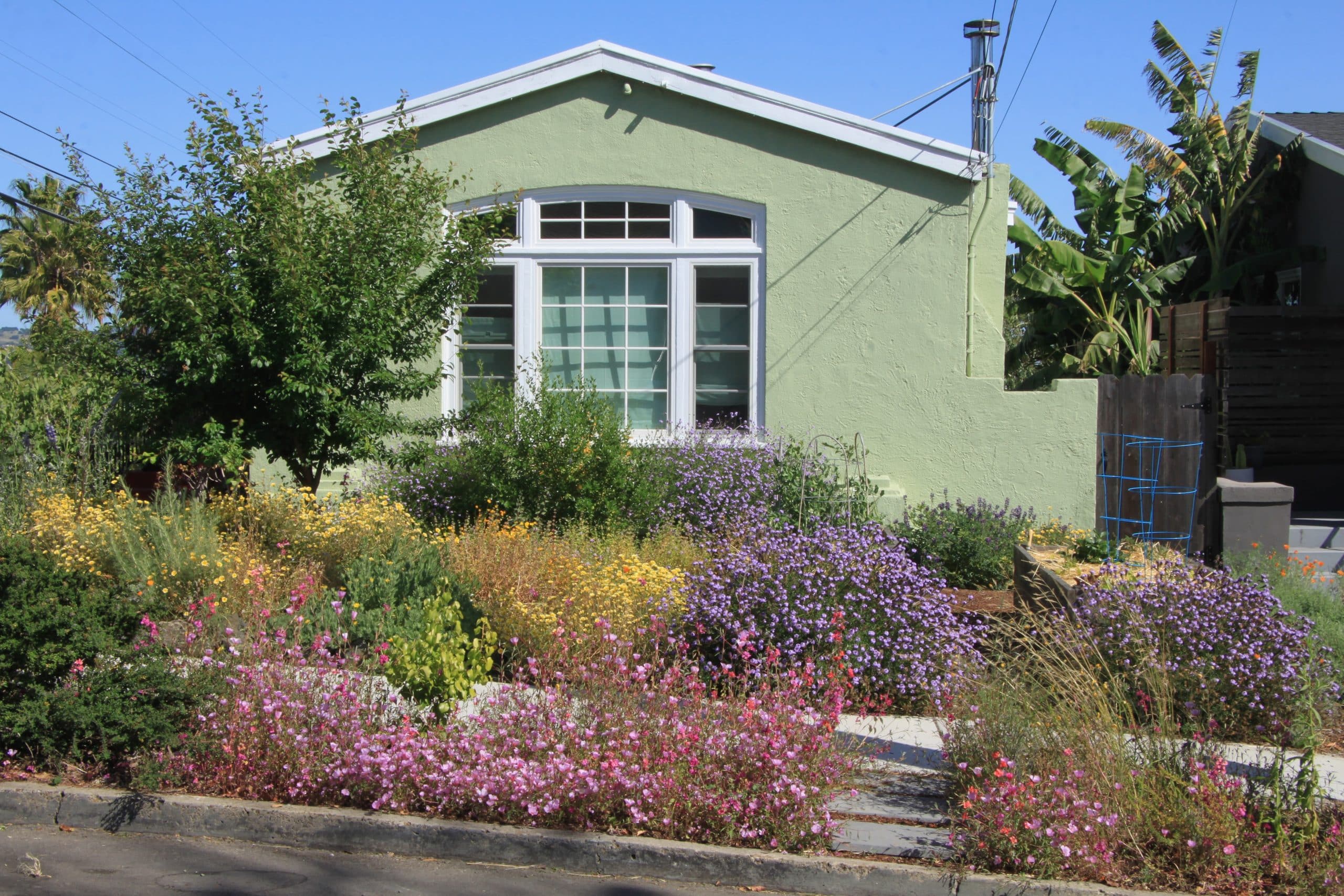 Beth Calvet’s garden