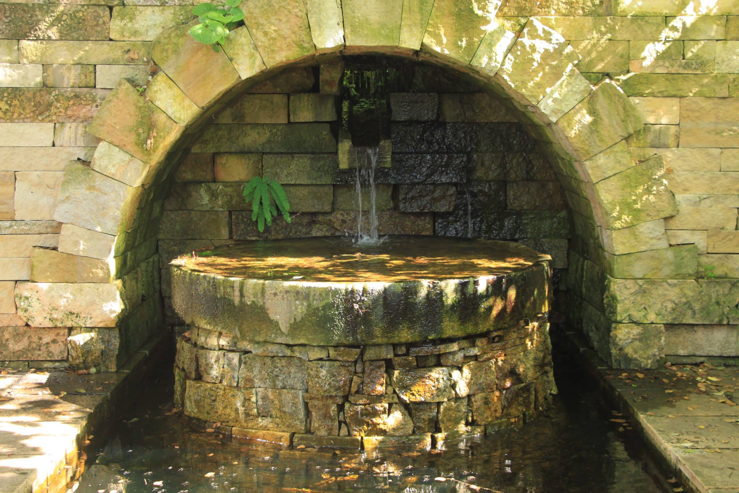 Timothy J. Sullivan’s garden