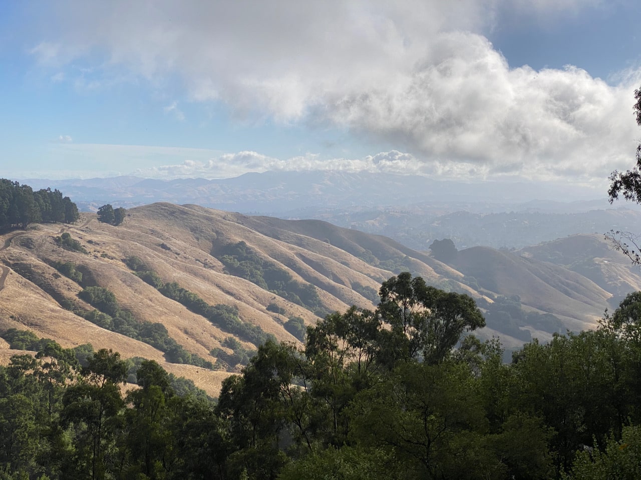 pollinator_post_10_10_23_1_a05b9160cf2e1e61_images_015