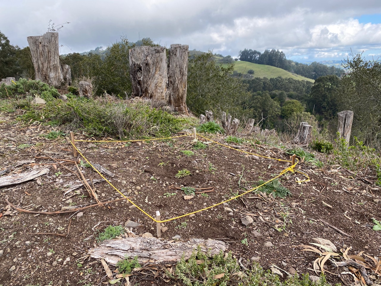 pollinator_post_2_15_24_1_7f038004f945a28_images_012