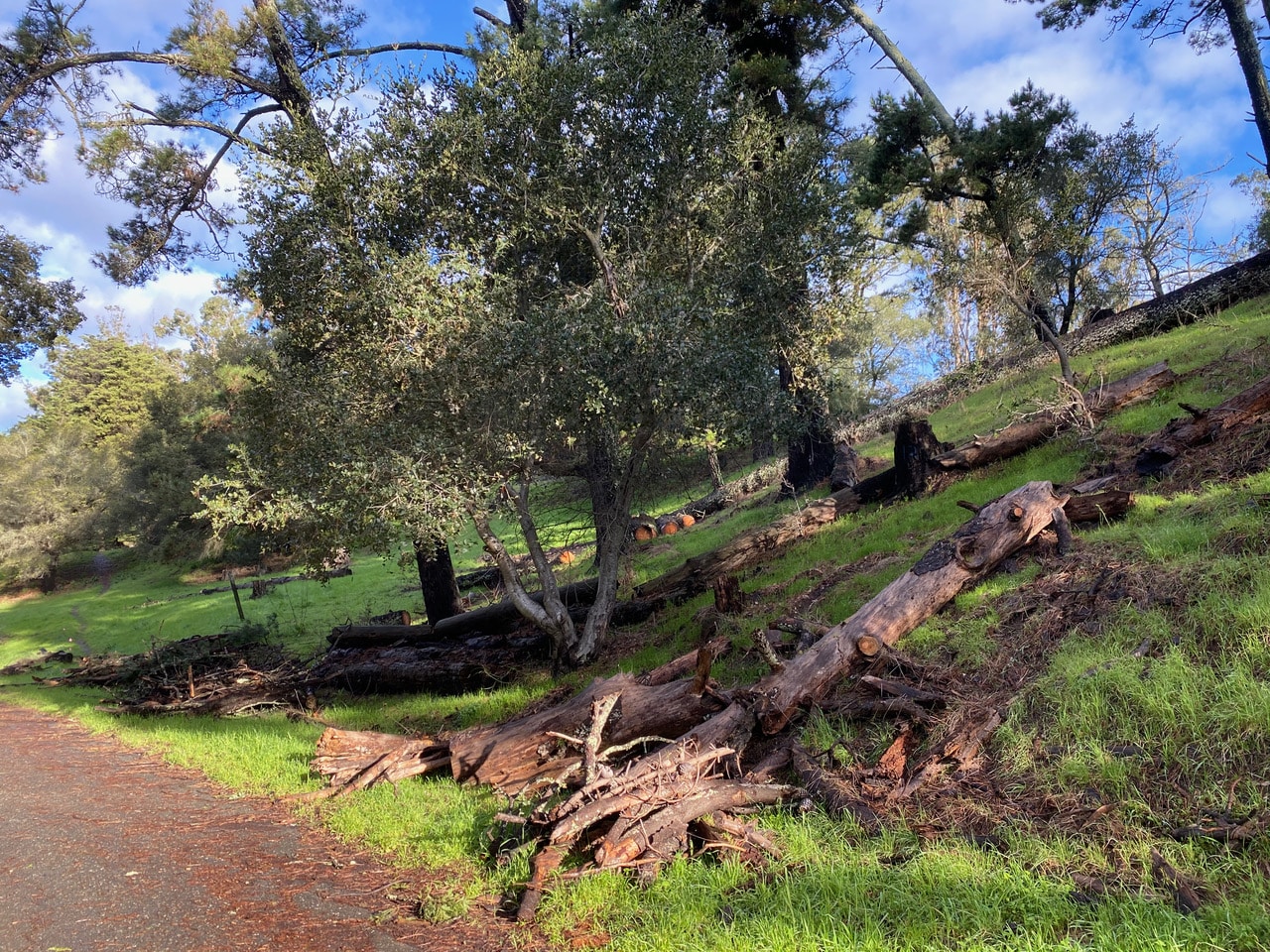 pollinator_post_2_18_24_1_767c486158808fc8_images_012