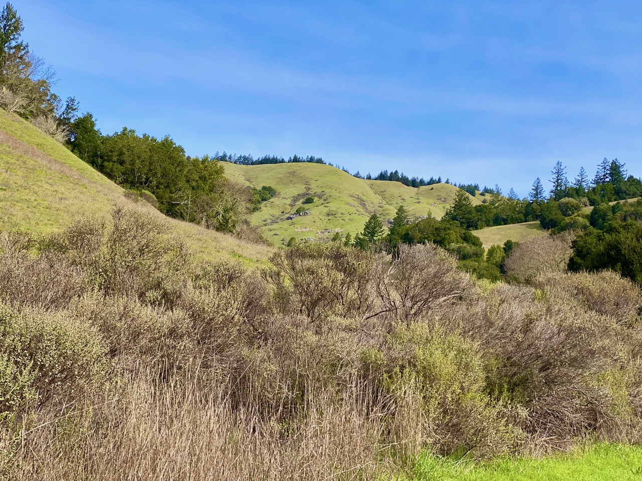 pollinator_post_2_23_24_1_5817d2d894e76719_images_014