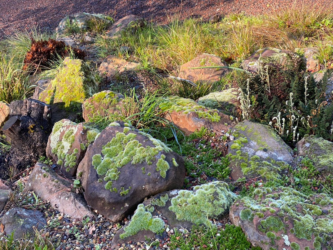 pollinator_post_2_8_24_1_75644f320cfc294c_images_012