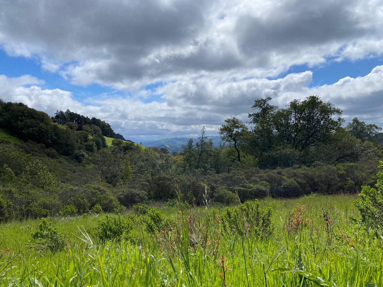 pollinator_post_4_5_24_2_4670fc0e345bf906_images_012