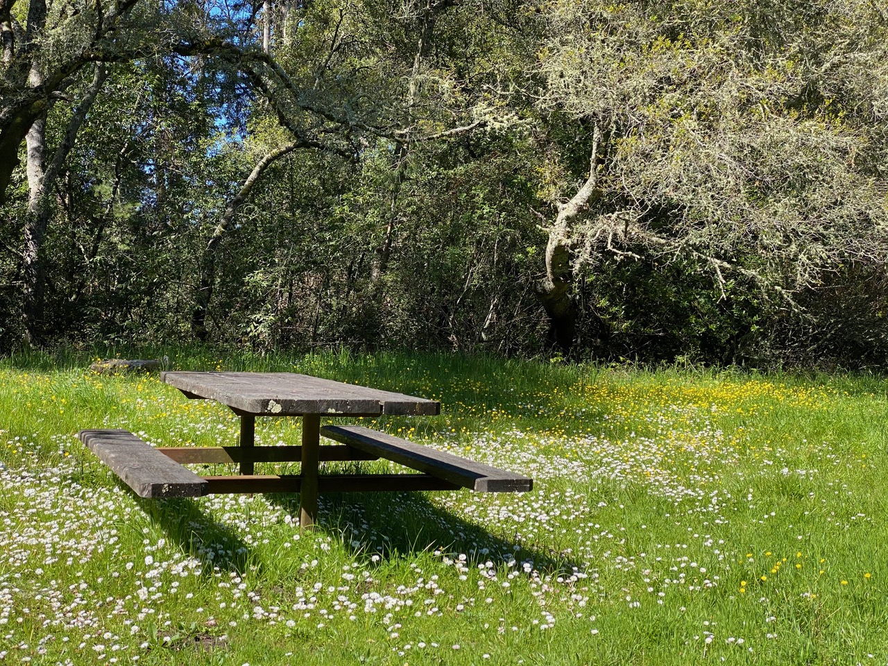 pollinator_post_4_8_24_1_dfa7a900581e467c_images_018