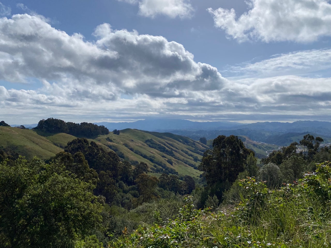 pollinator_post_5_7_23_1_8c0ec53b61a2893d_images_013