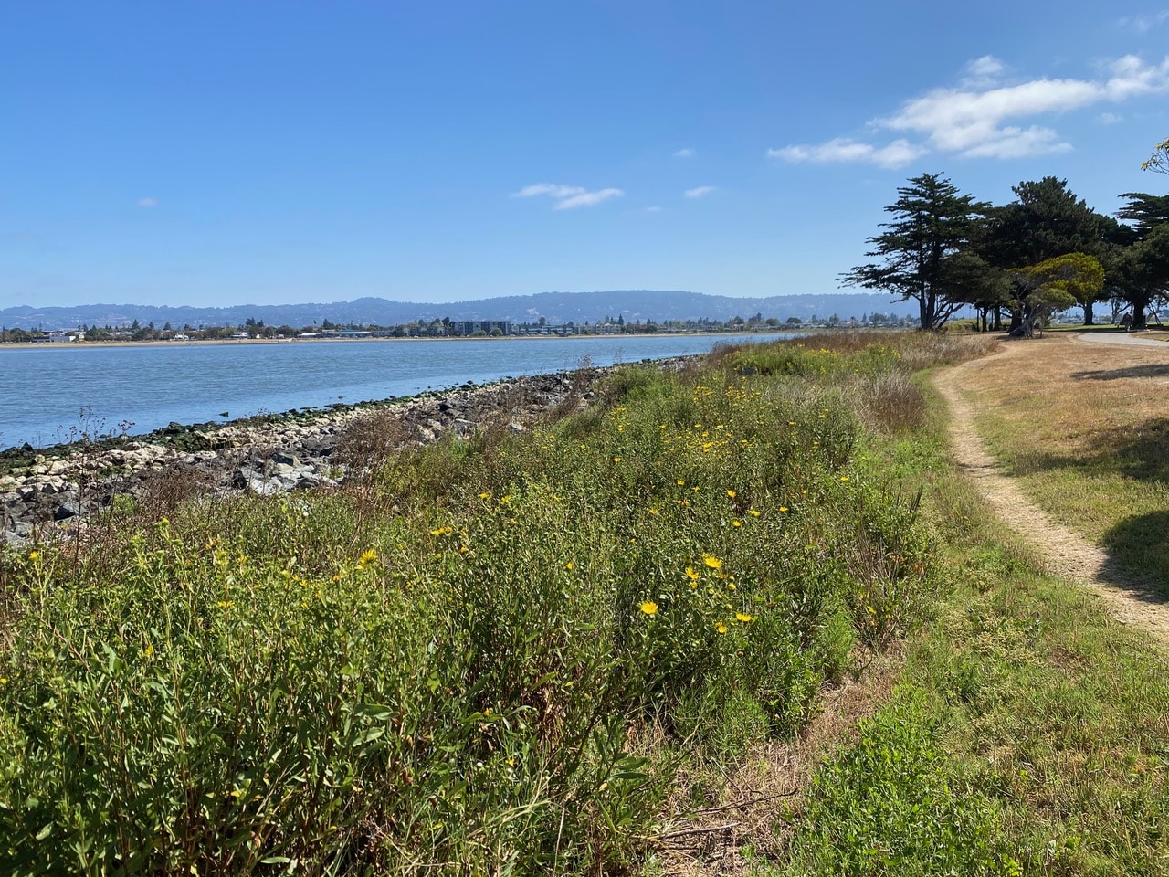 pollinator_post_7_31_25_1_2a47aa42f369e958_images_019