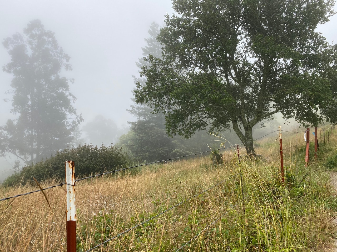 pollinator_post_7_9_23_1_edaa5966999afe15_images_016