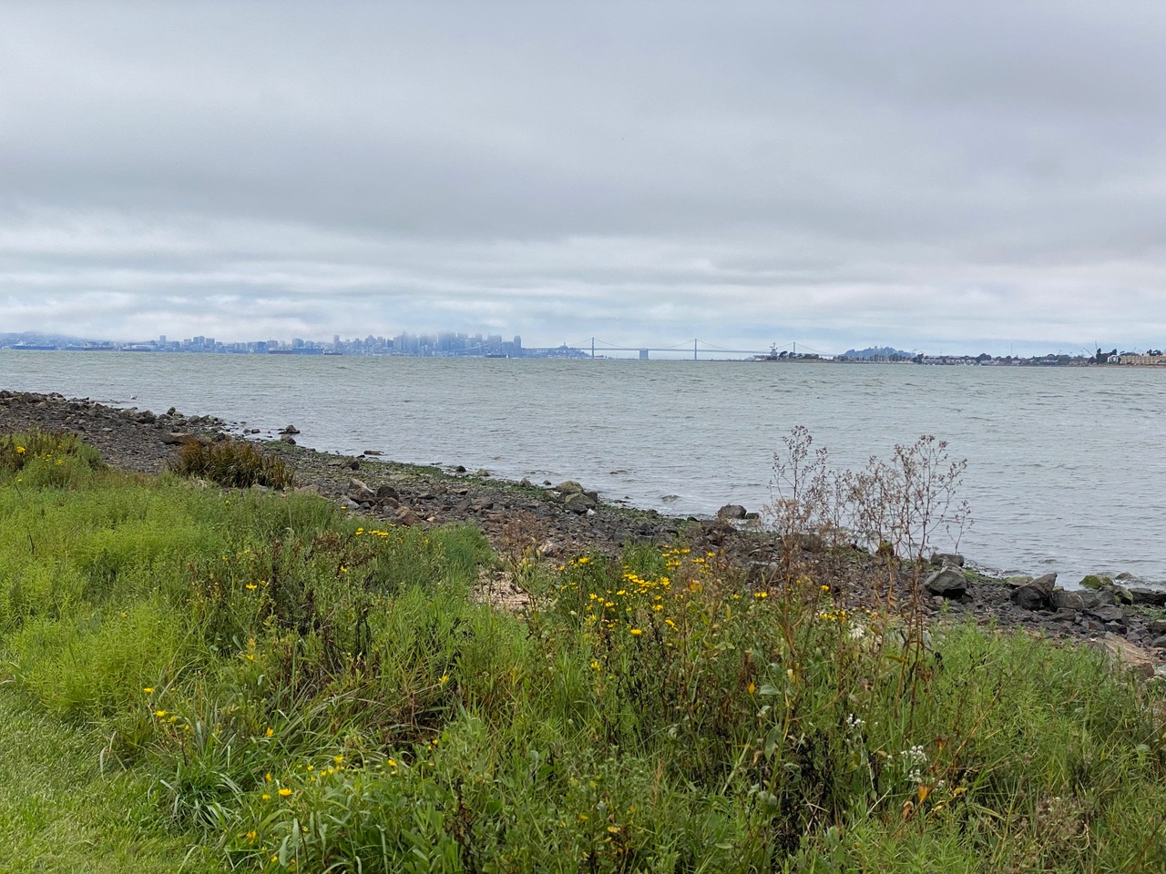 pollinator_post_8_16_25_b1677c54db03fbe6_images_023