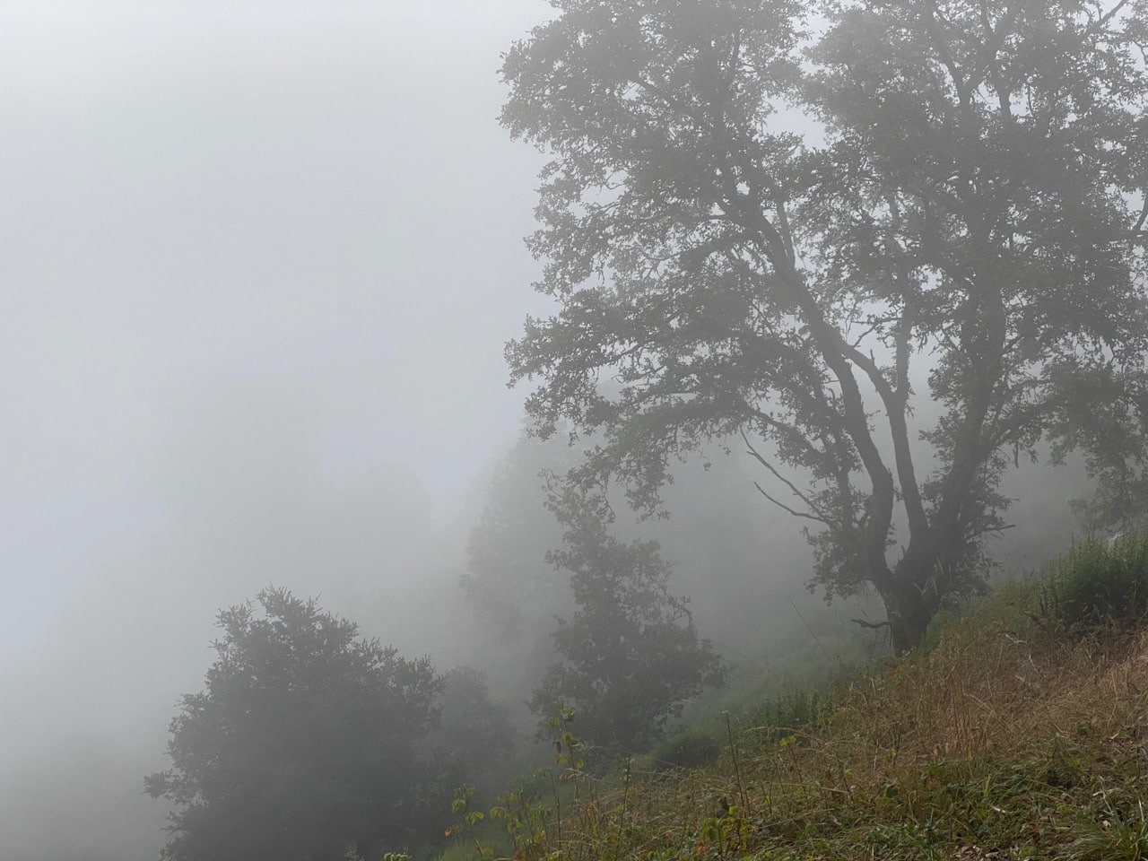 pollinator_post_9_12_23_1_499a2dc4f7b3228e_images_012