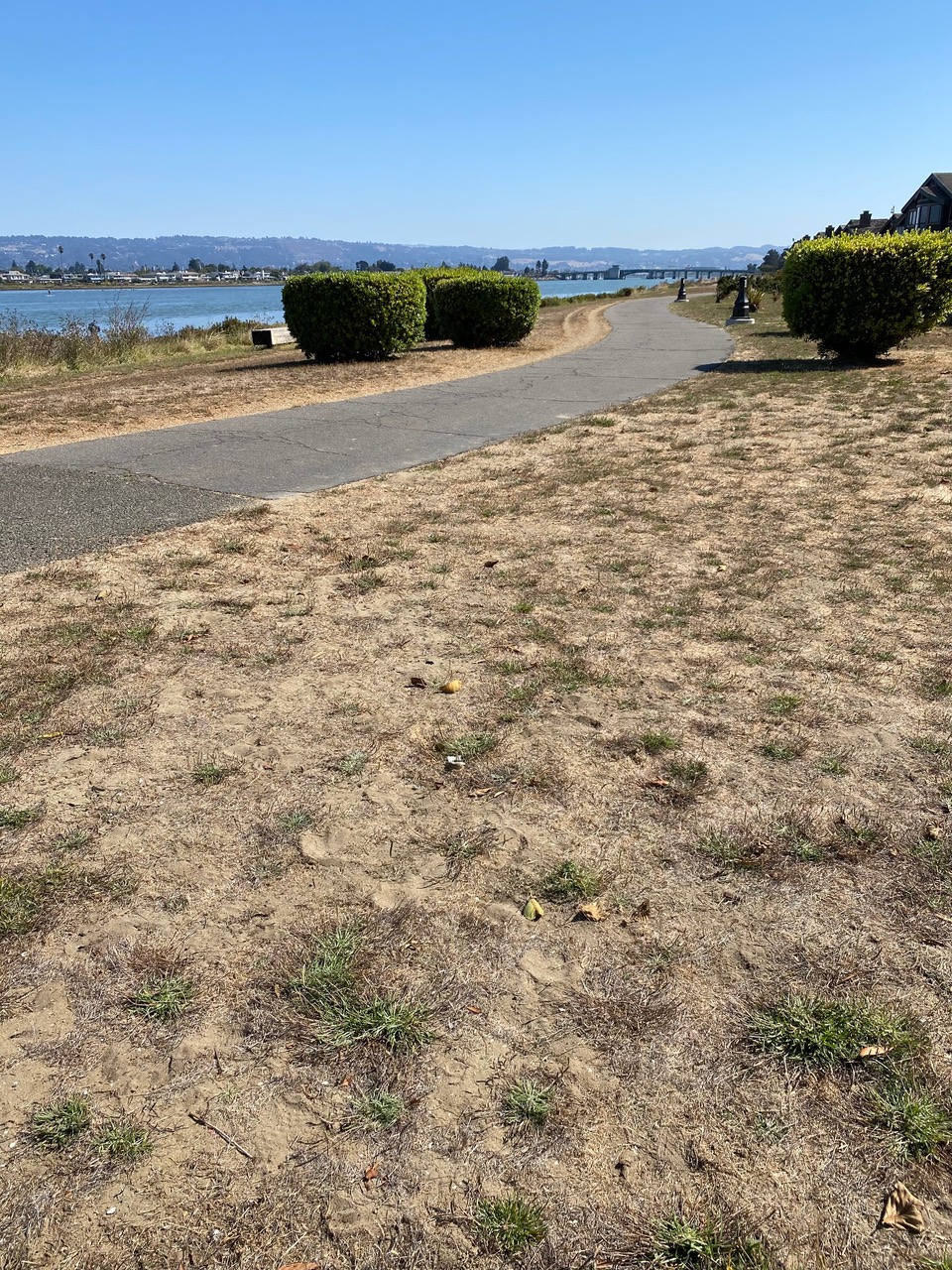 pollinator_post_9_22_24_1_4408ba8d2a2ade8e_images_020