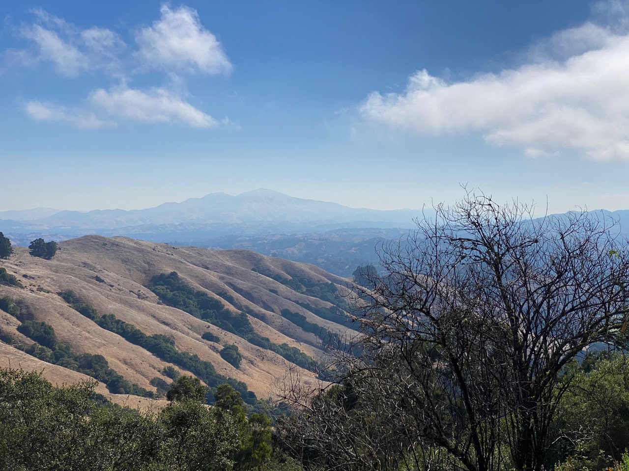 pollinator_post_9_24_23_e45f3286aaafef11_images_021