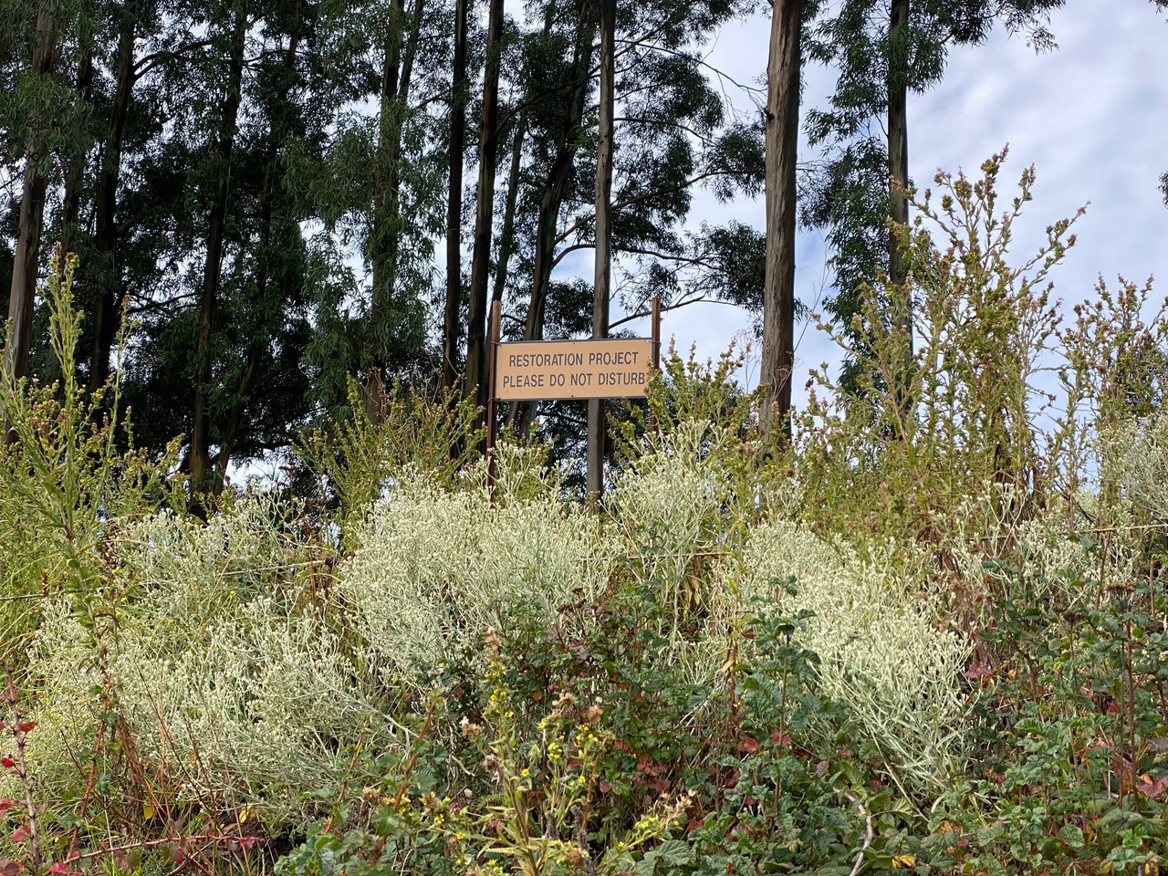 pollinator_post_9_2_23_1_9526a54fab10eb6d_images_018