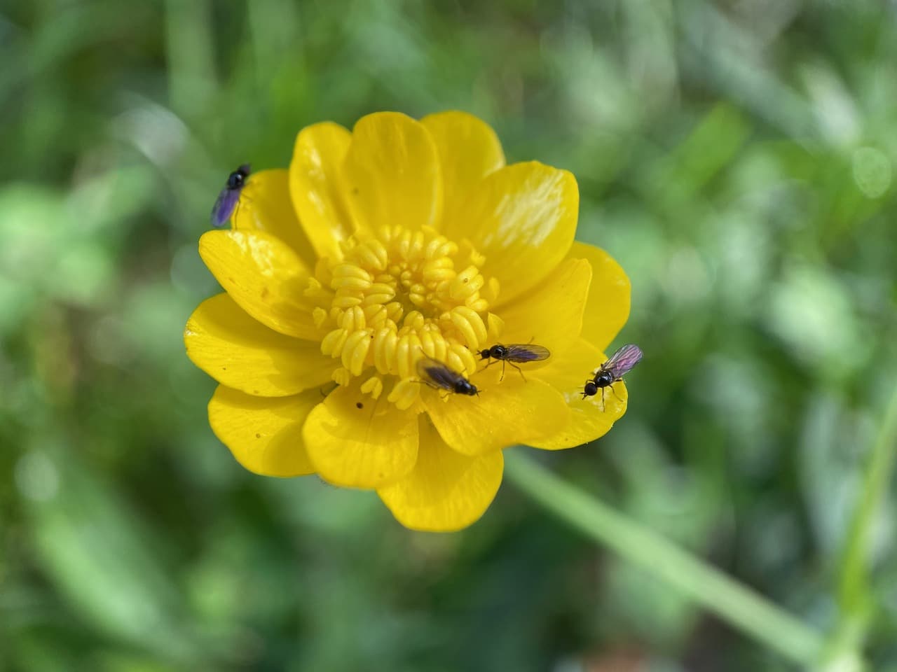 IMG_7765.jpeg