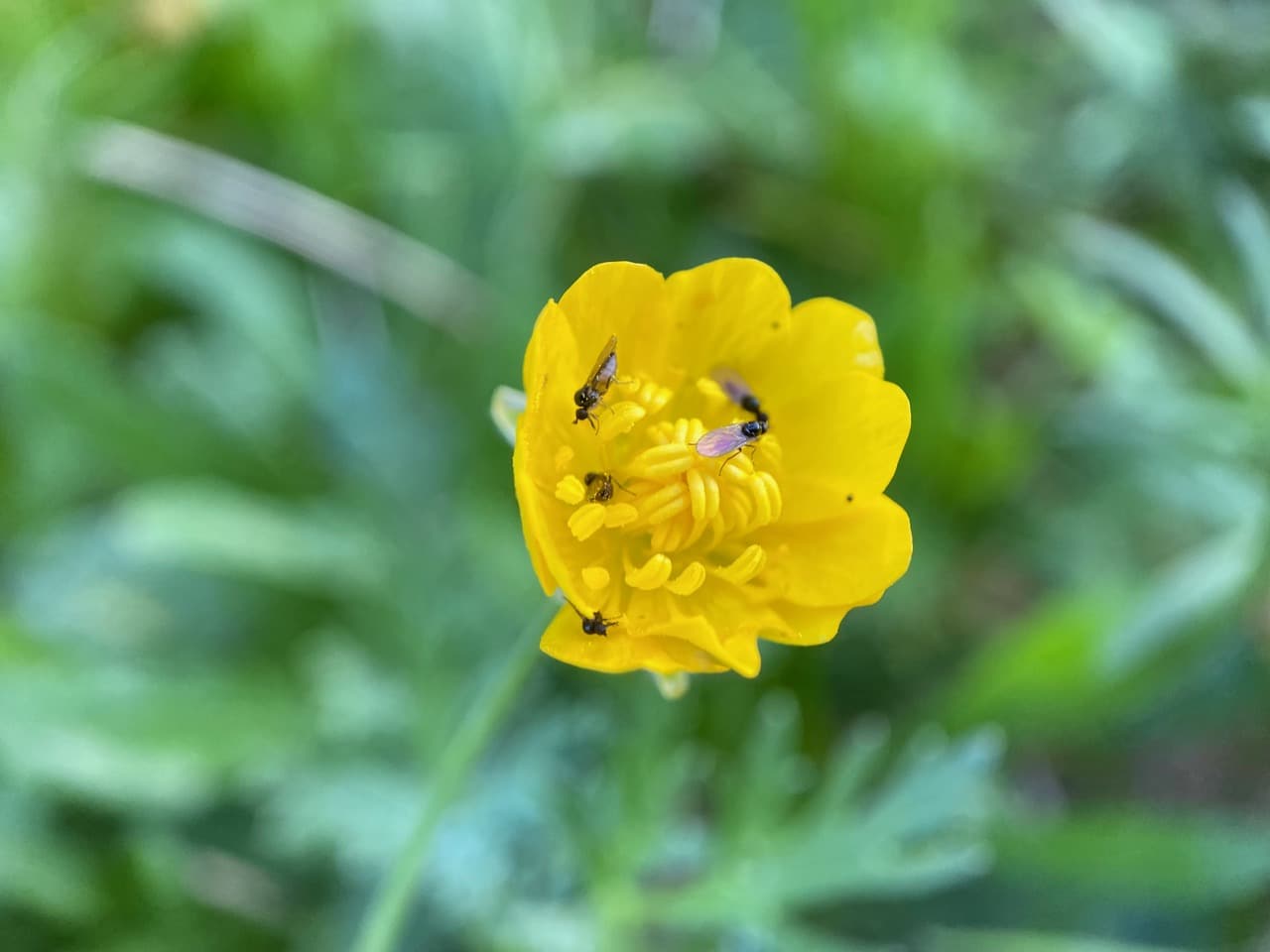 IMG_8601.jpeg