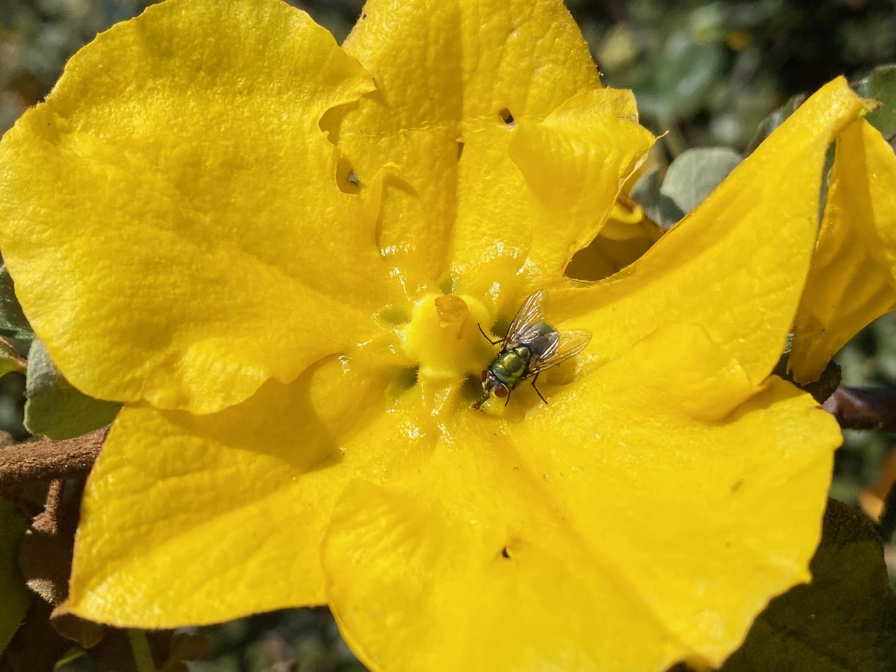 IMG_3632.jpeg