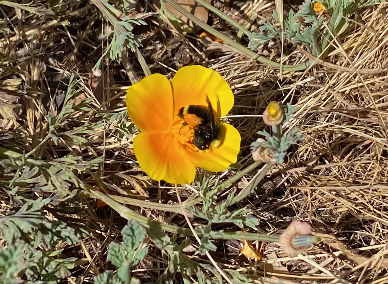 IMG_3708.jpeg