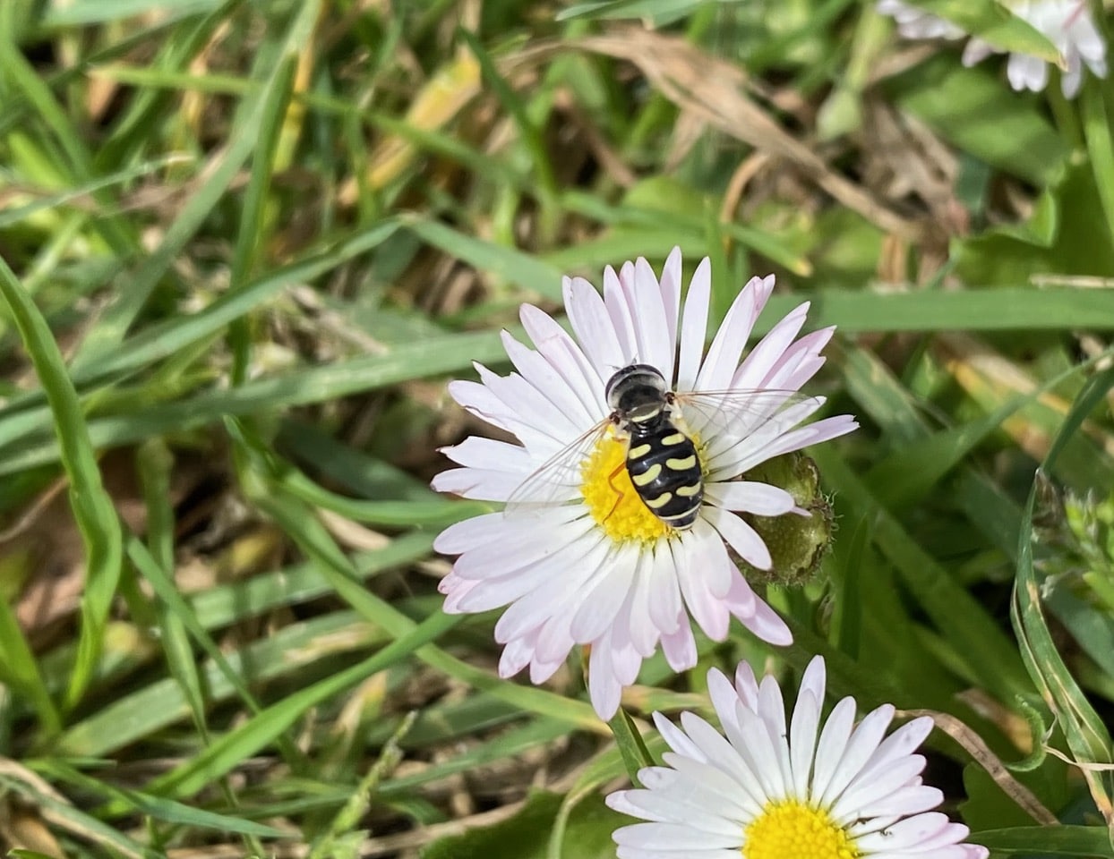 IMG_5036.jpeg
