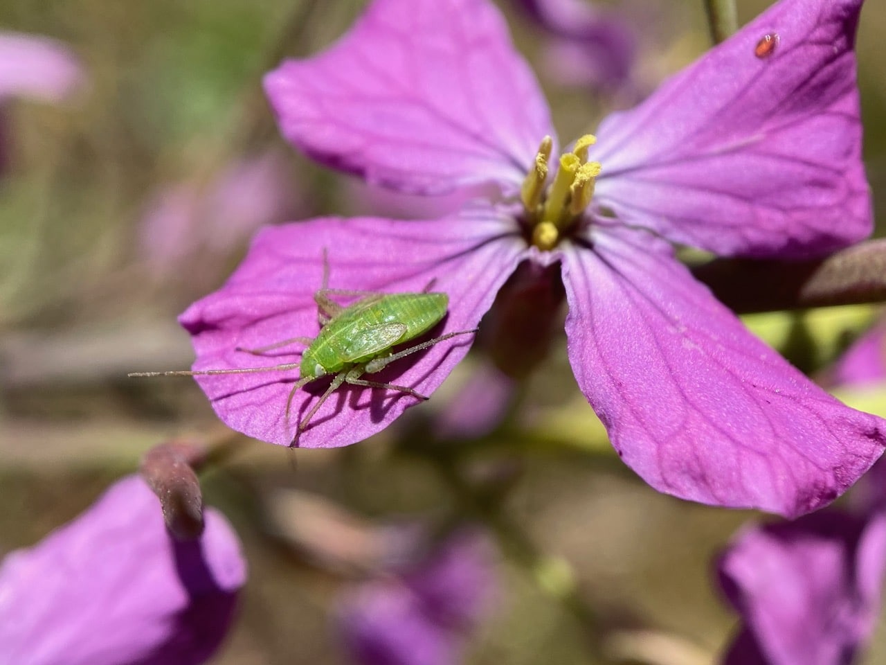 IMG_7280.jpeg