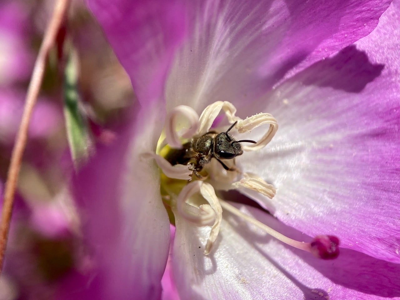 IMG_0421.jpeg