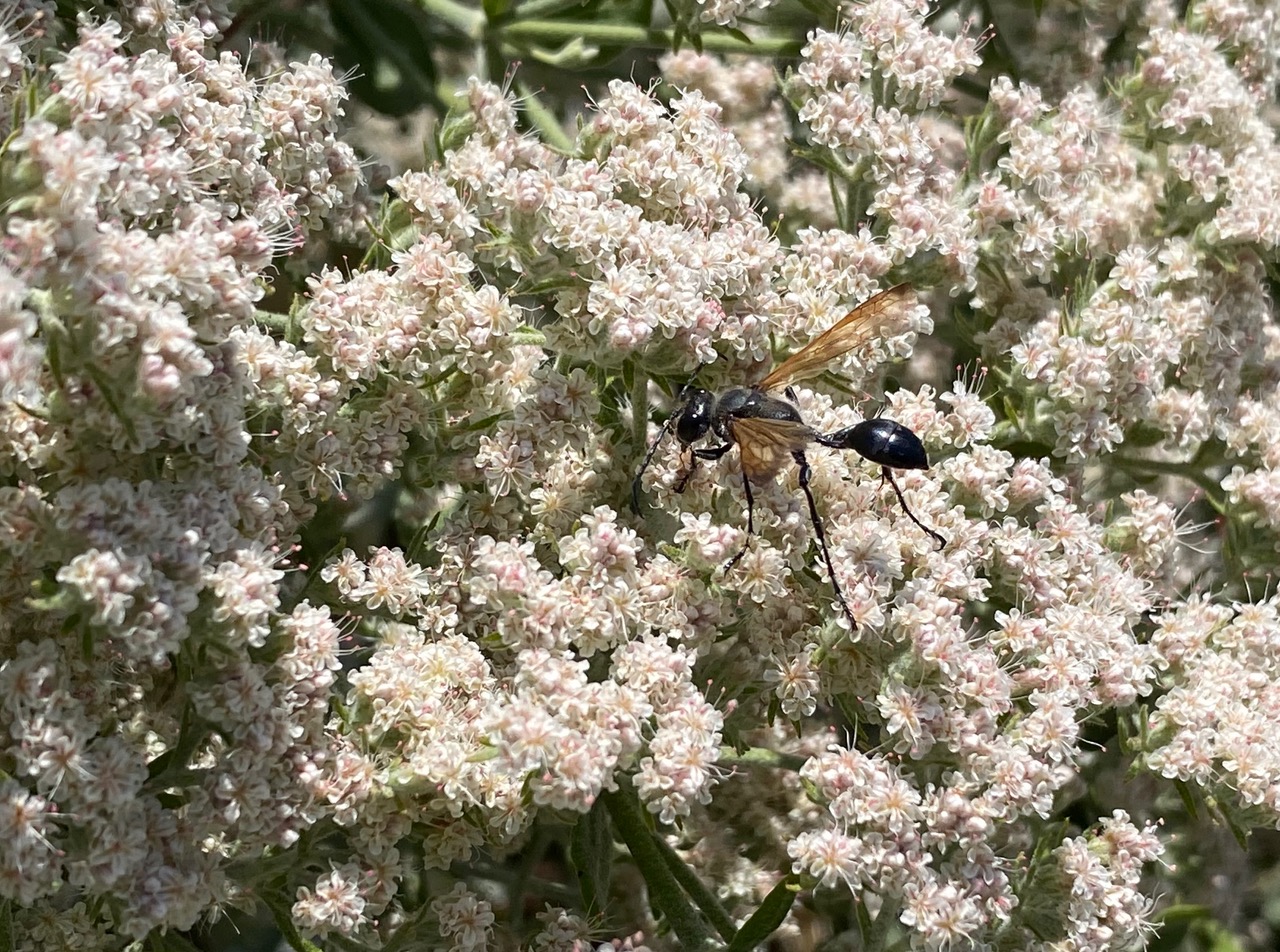 IMG_0682.jpeg