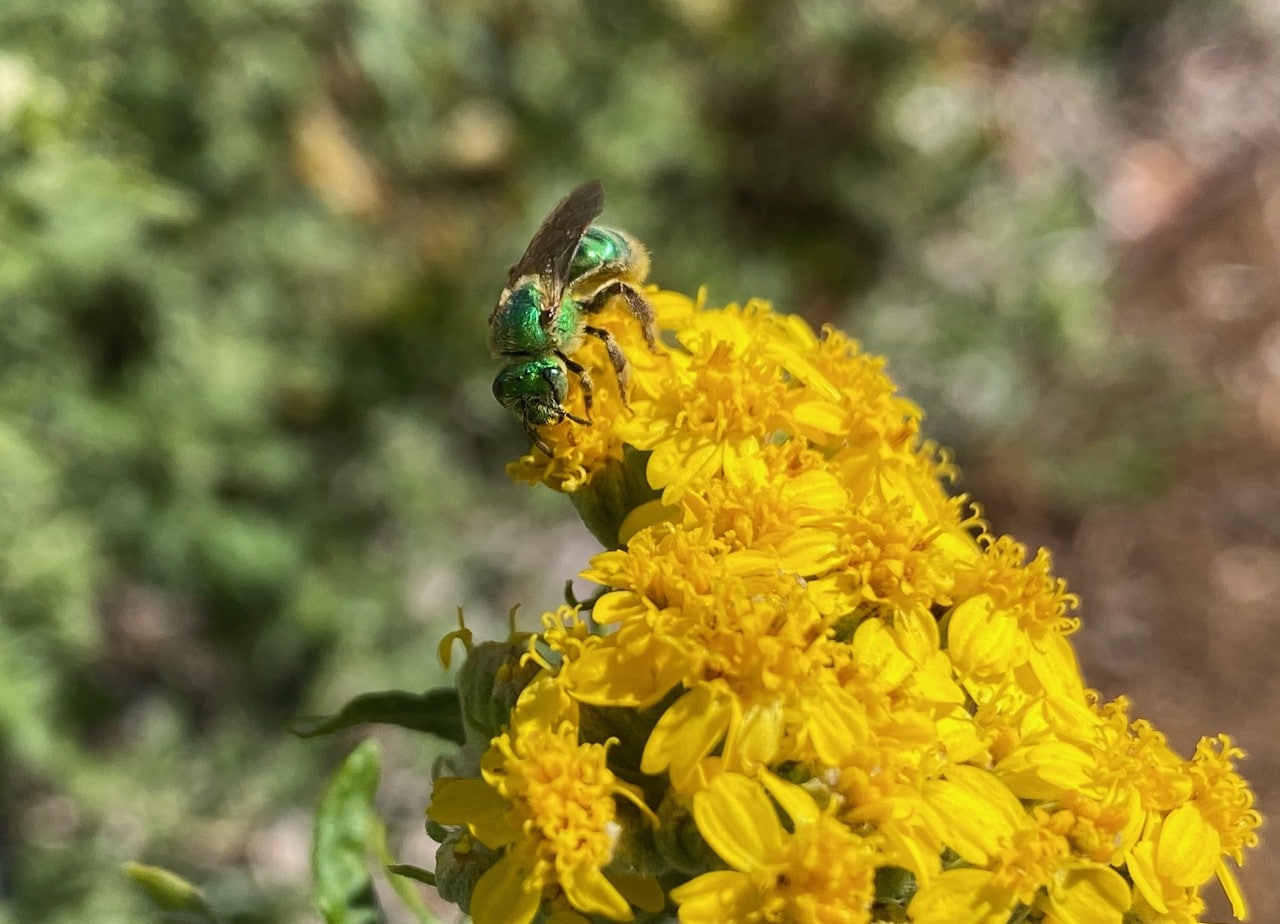 IMG_1280.jpeg