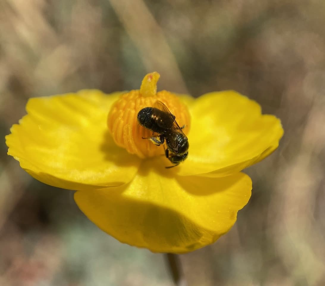IMG_6368.jpeg