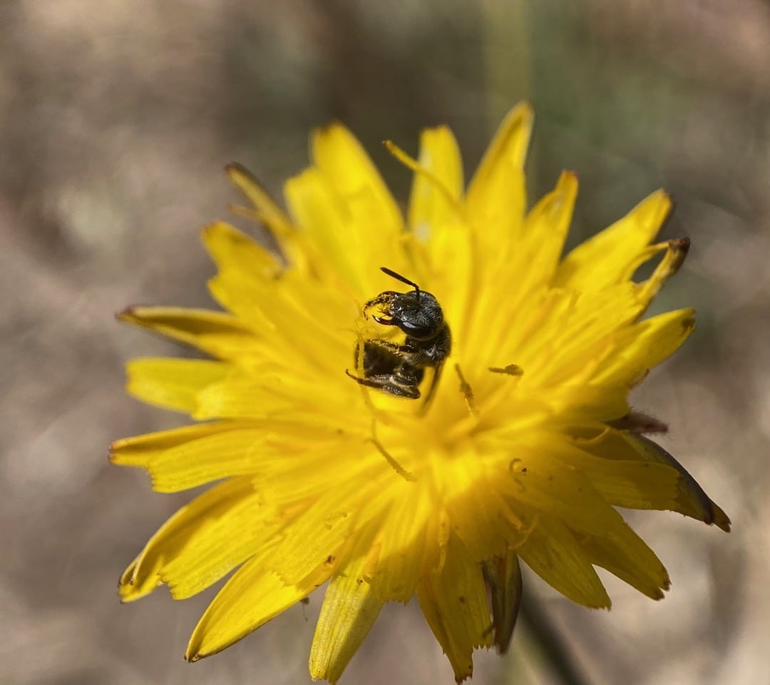 IMG_8116.jpeg
