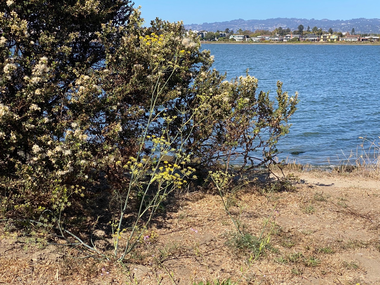 IMG_9109.jpeg
