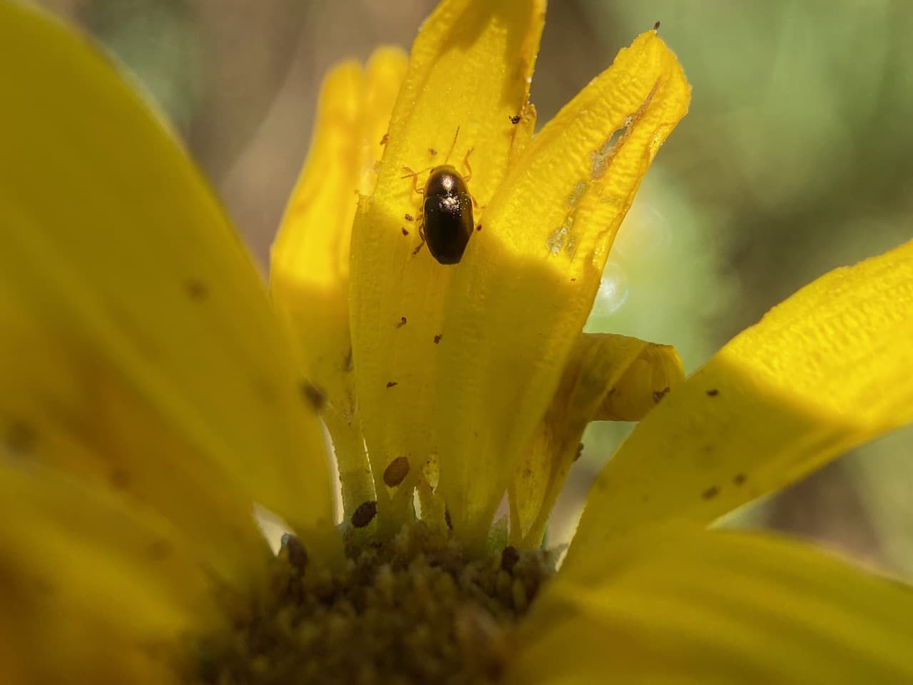 IMG_1074.jpeg
